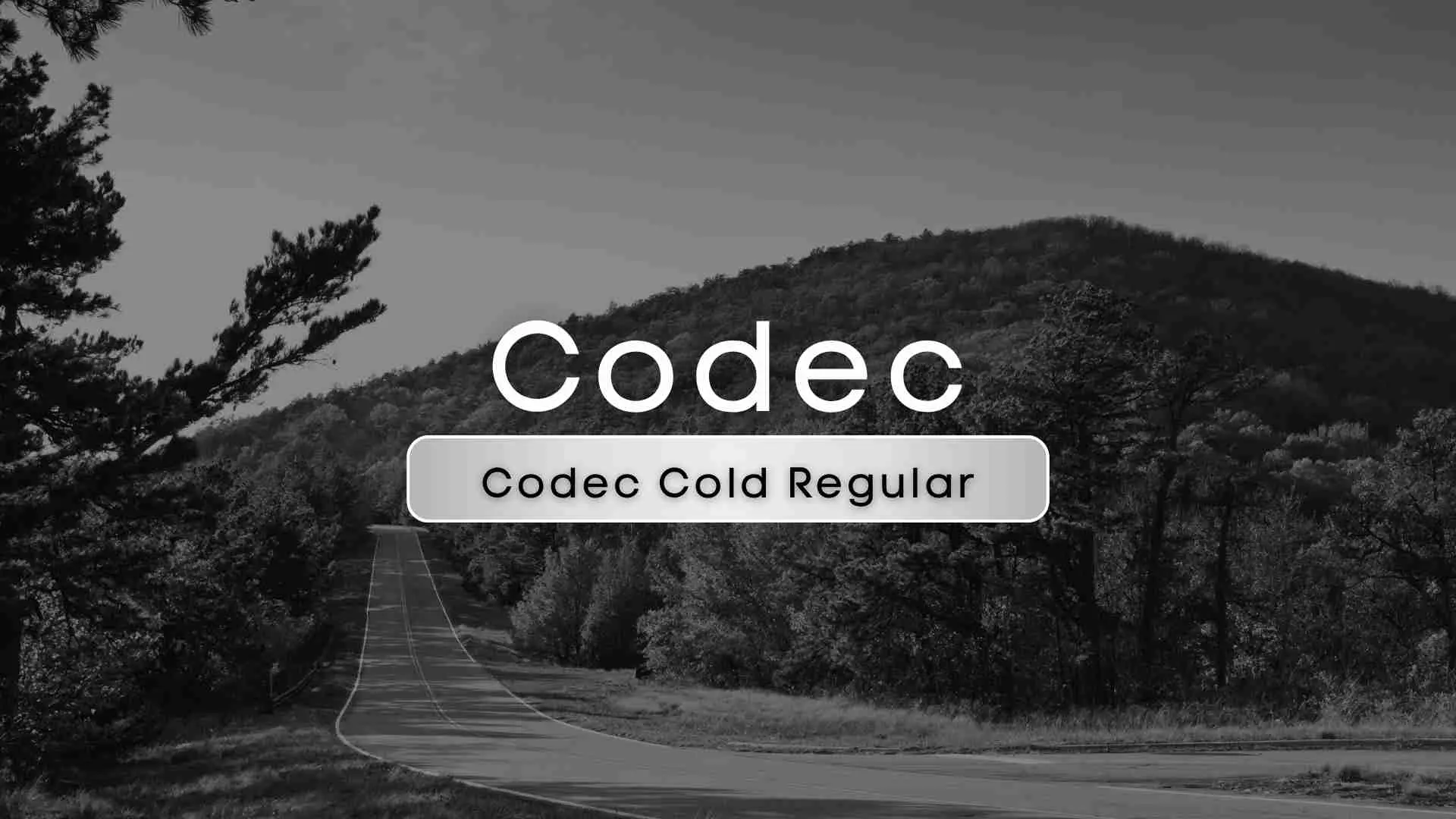 Codec Cold Regular