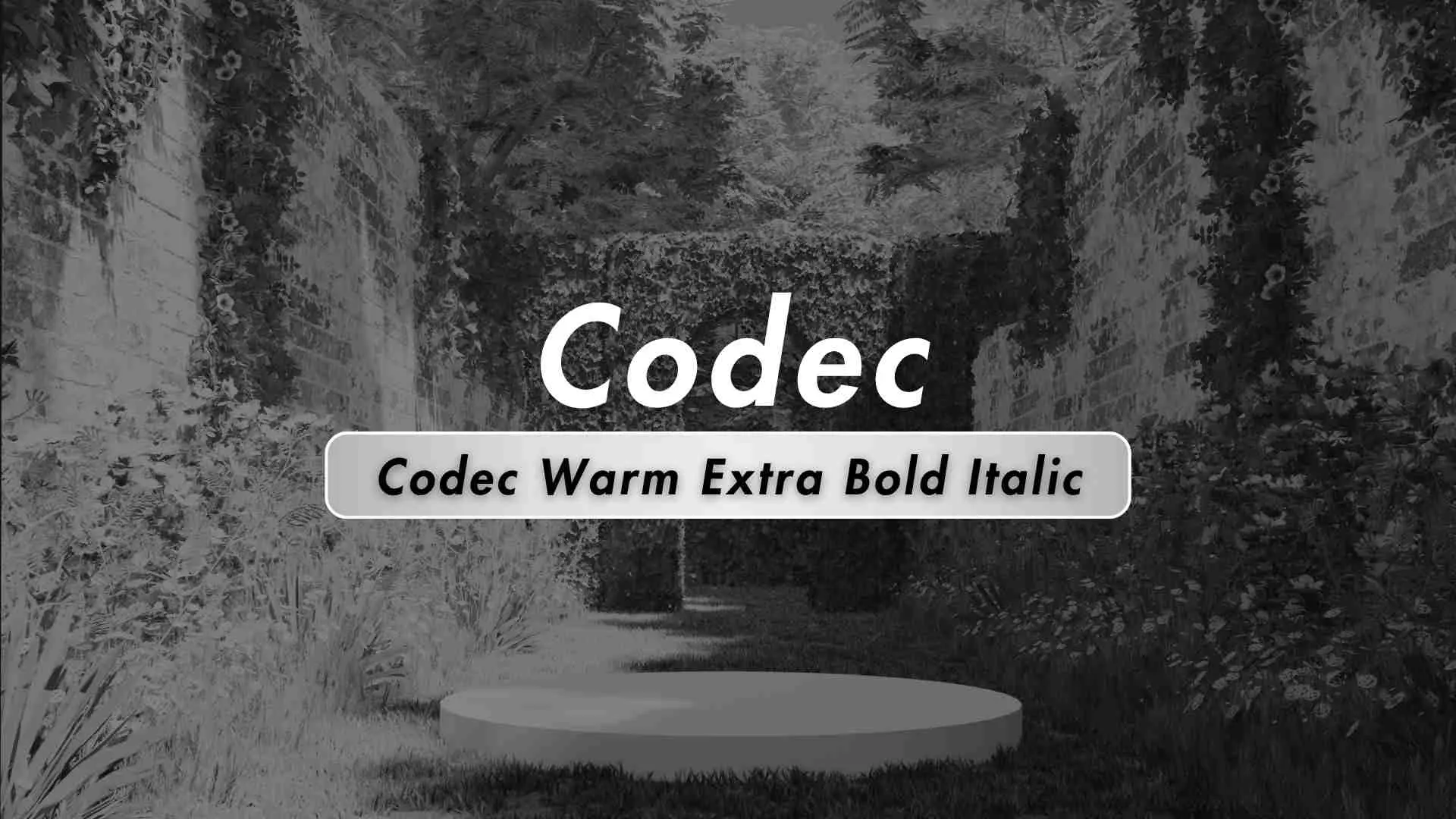Codec Warm Extra Bold Italic