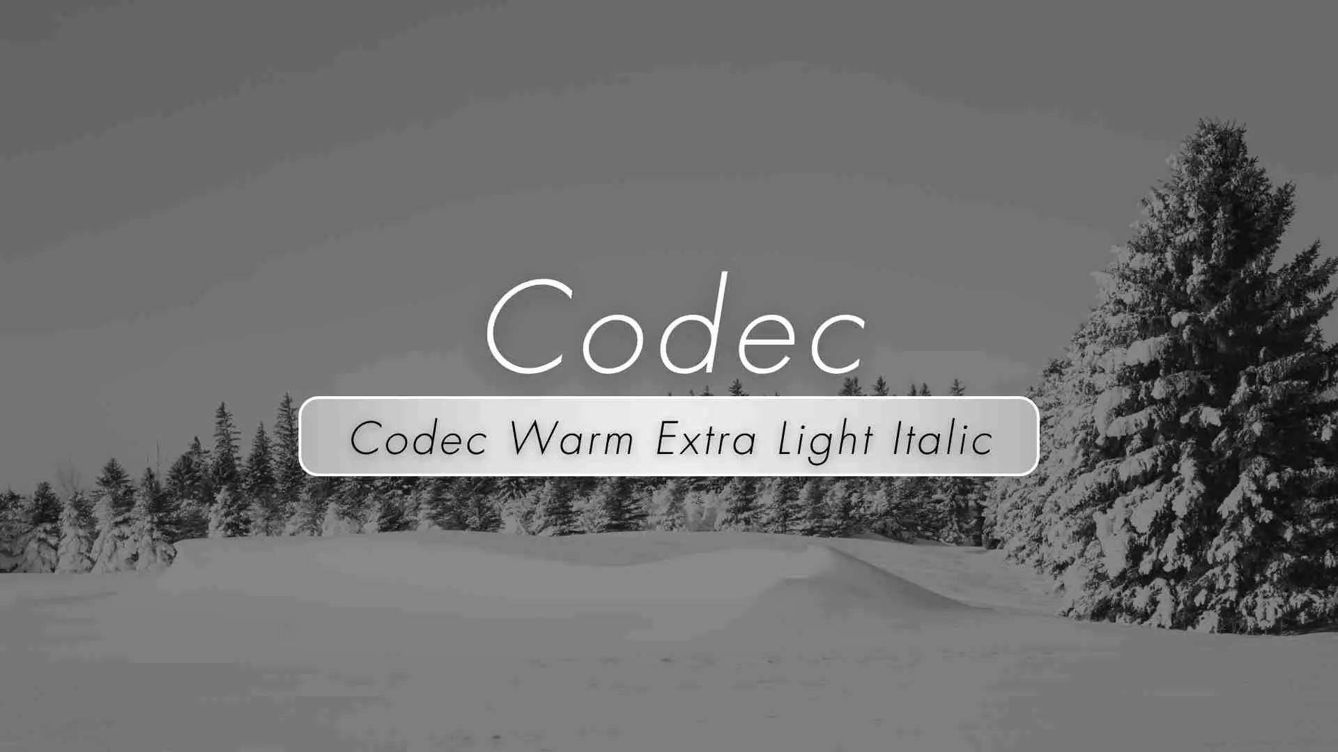 Codec Warm Extra Light Italic