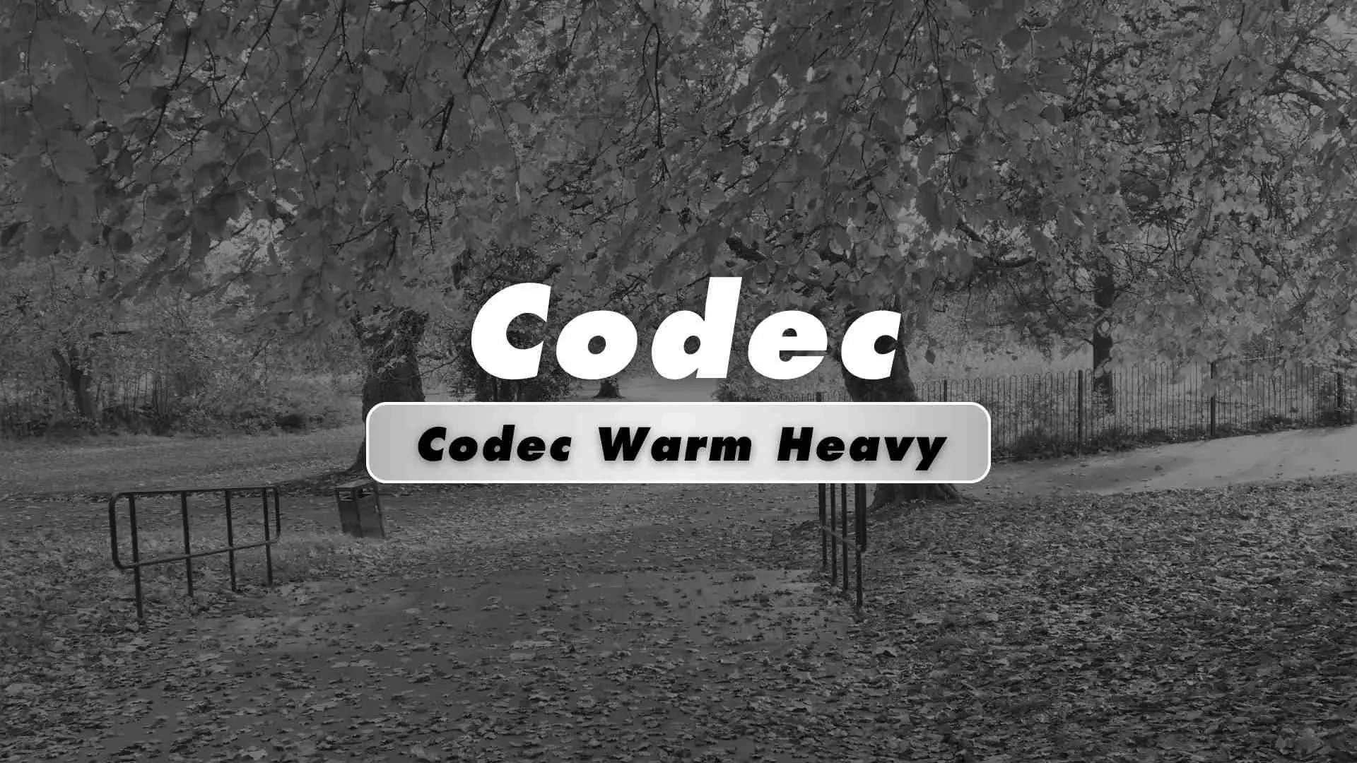 Codec Warm Heavy