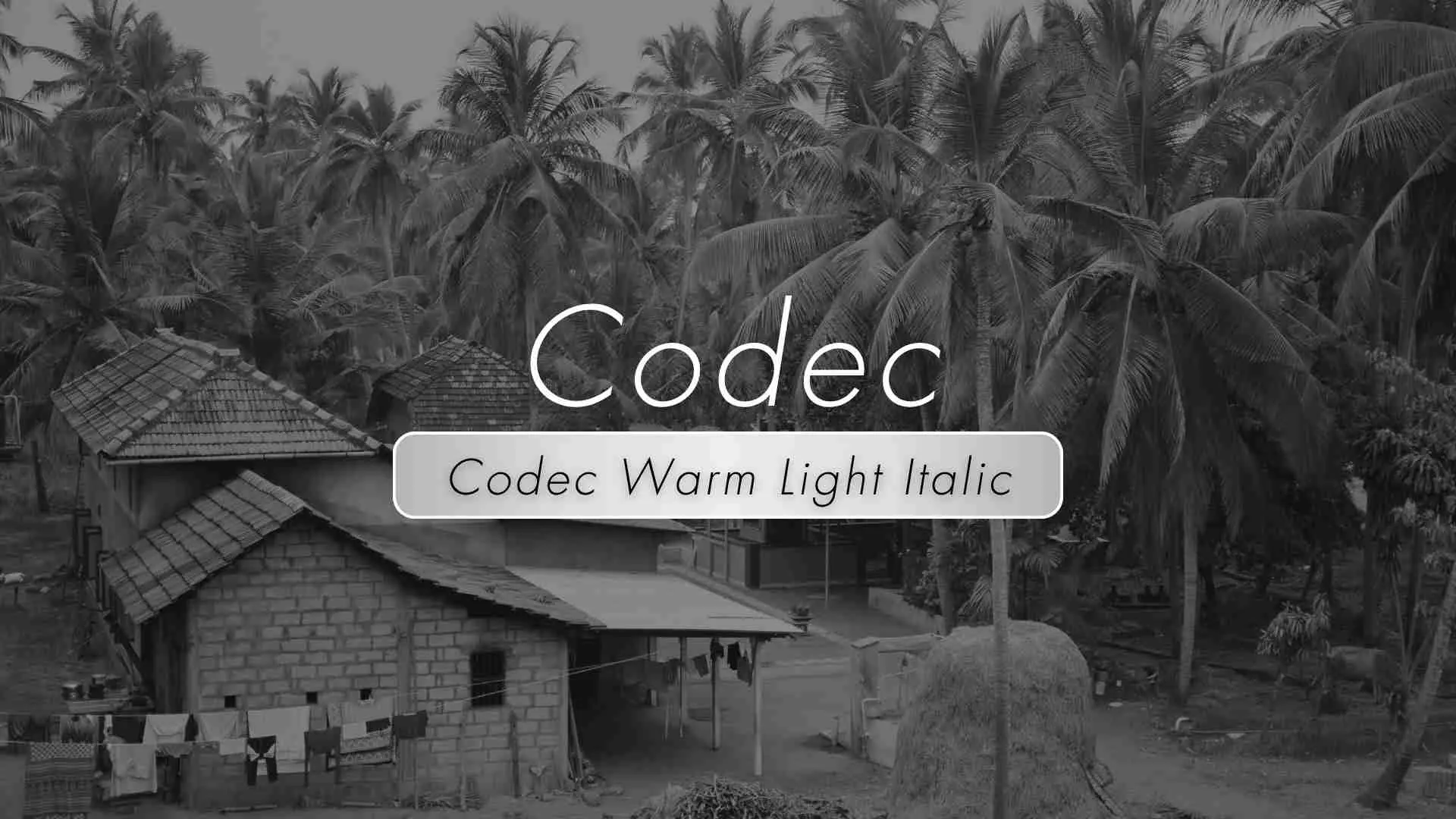 Codec Warm Light Italic