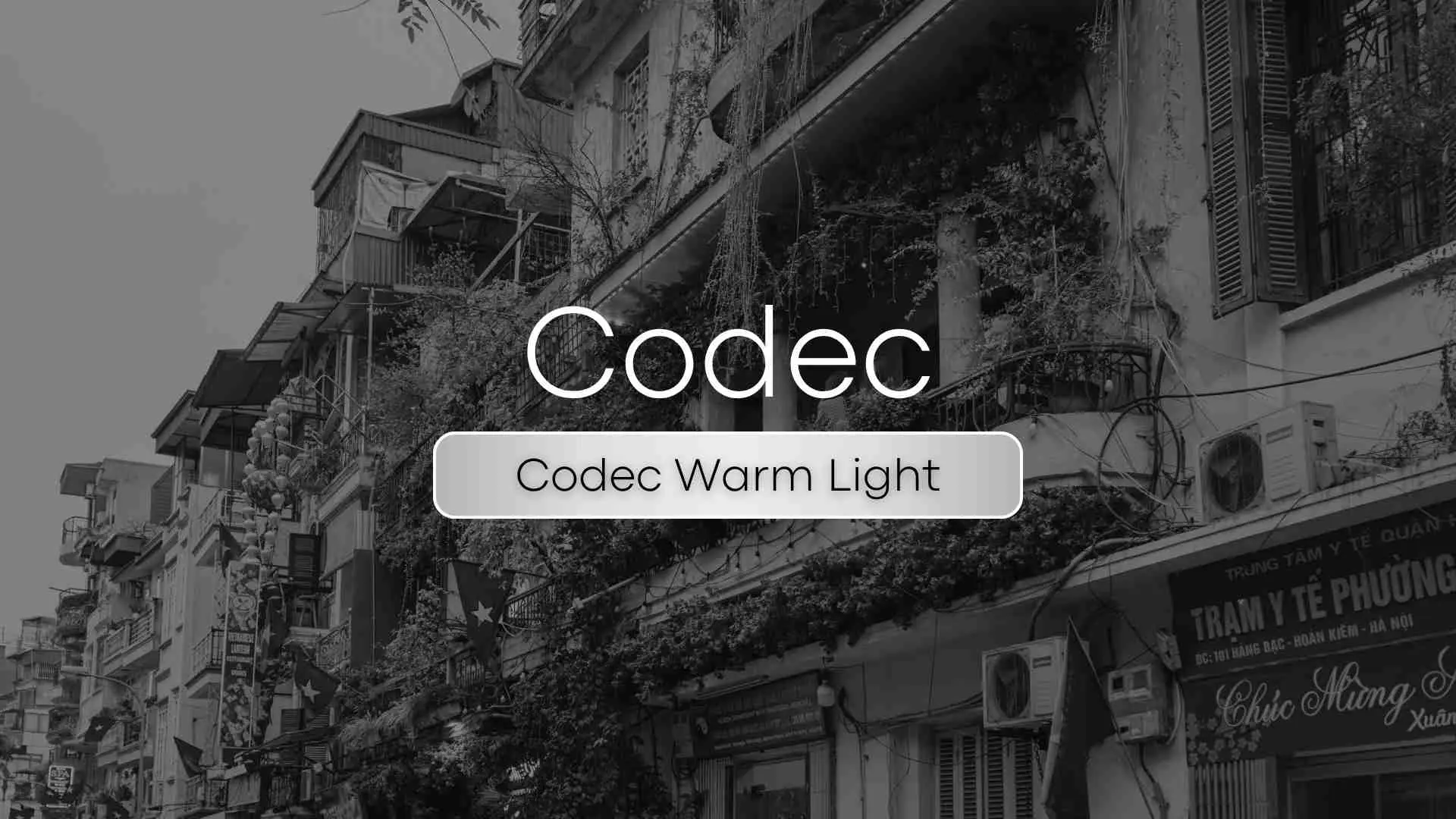 Codec Warm Light