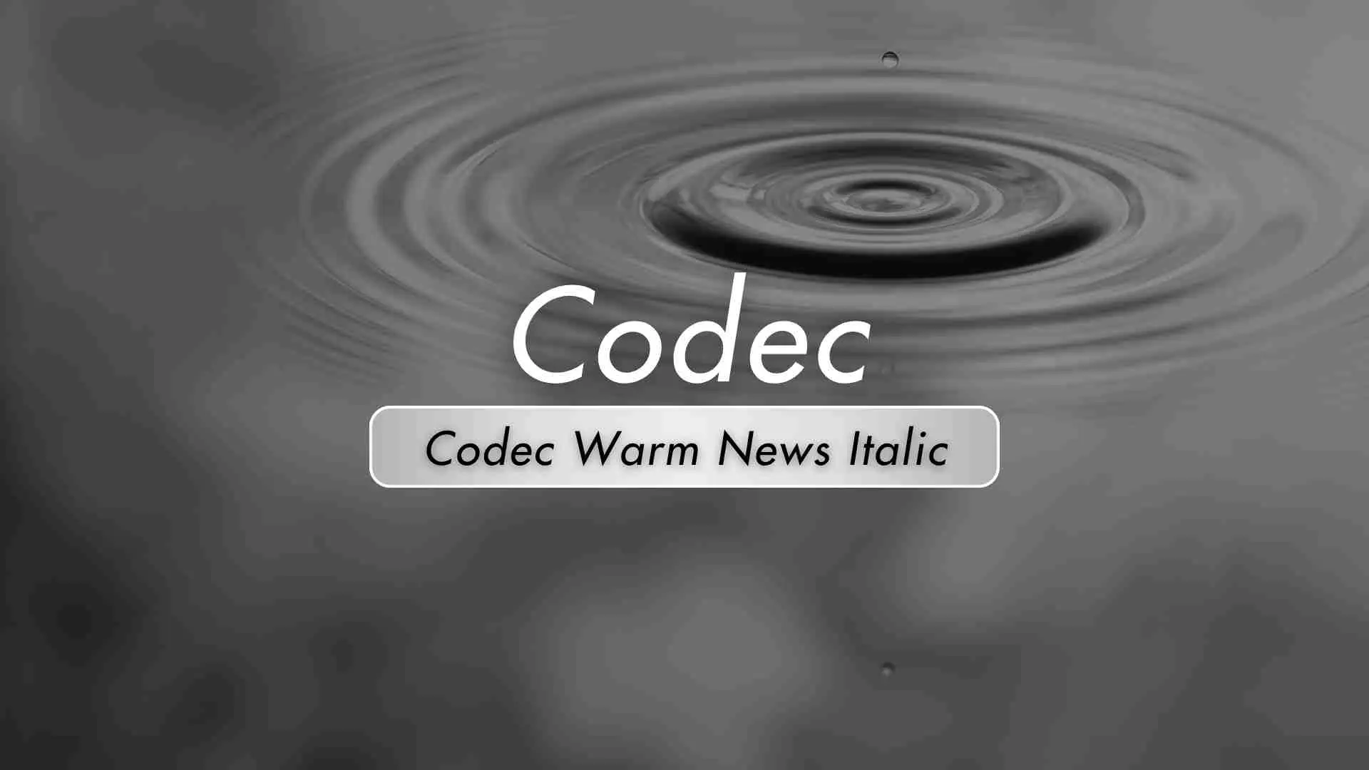 Codec Warm News Italic
