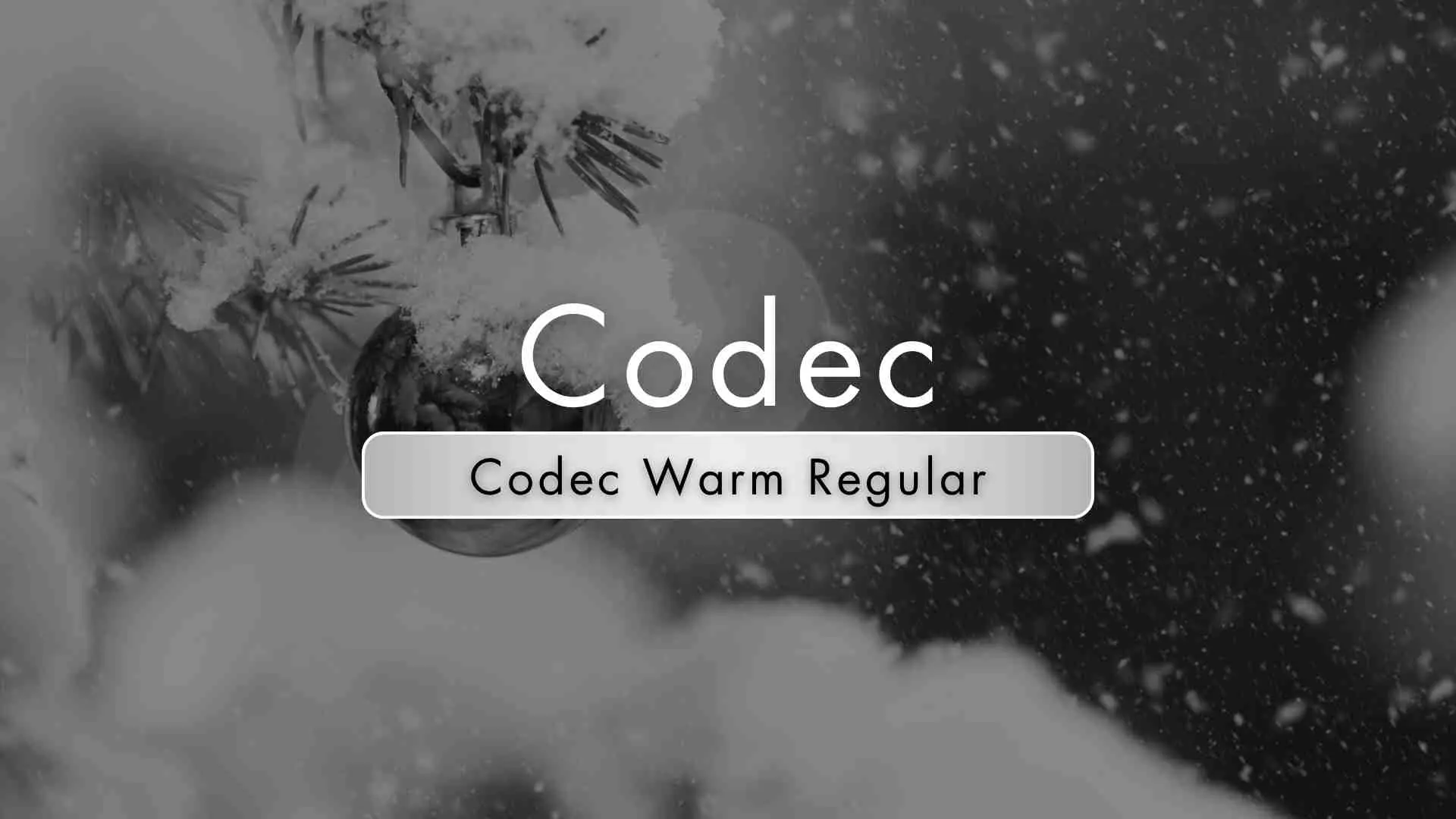 Codec Warm Regular