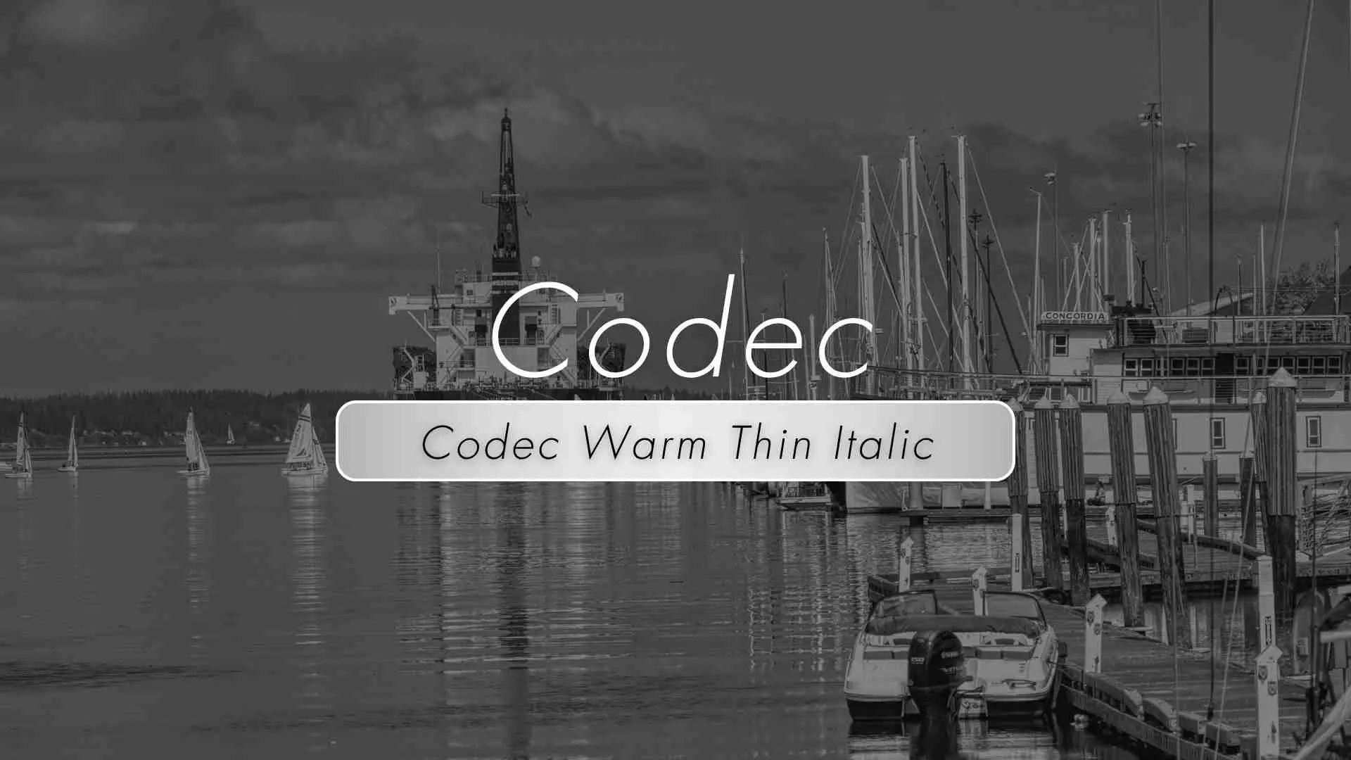 Codec Warm Thin Italic