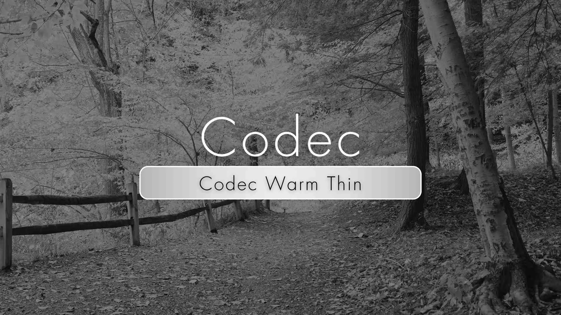 Codec Warm Thin