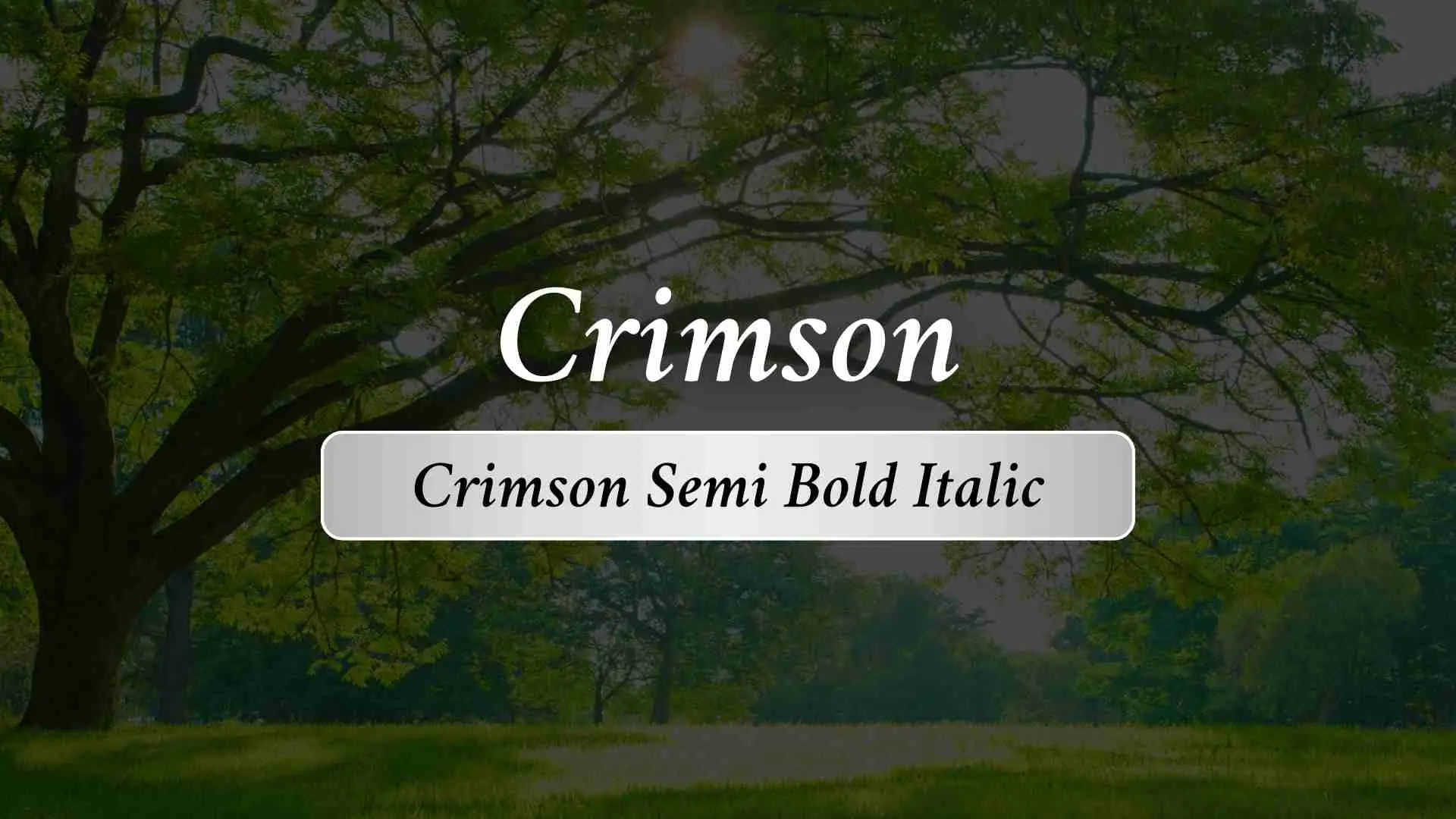 Crimson Semi Bold Italic