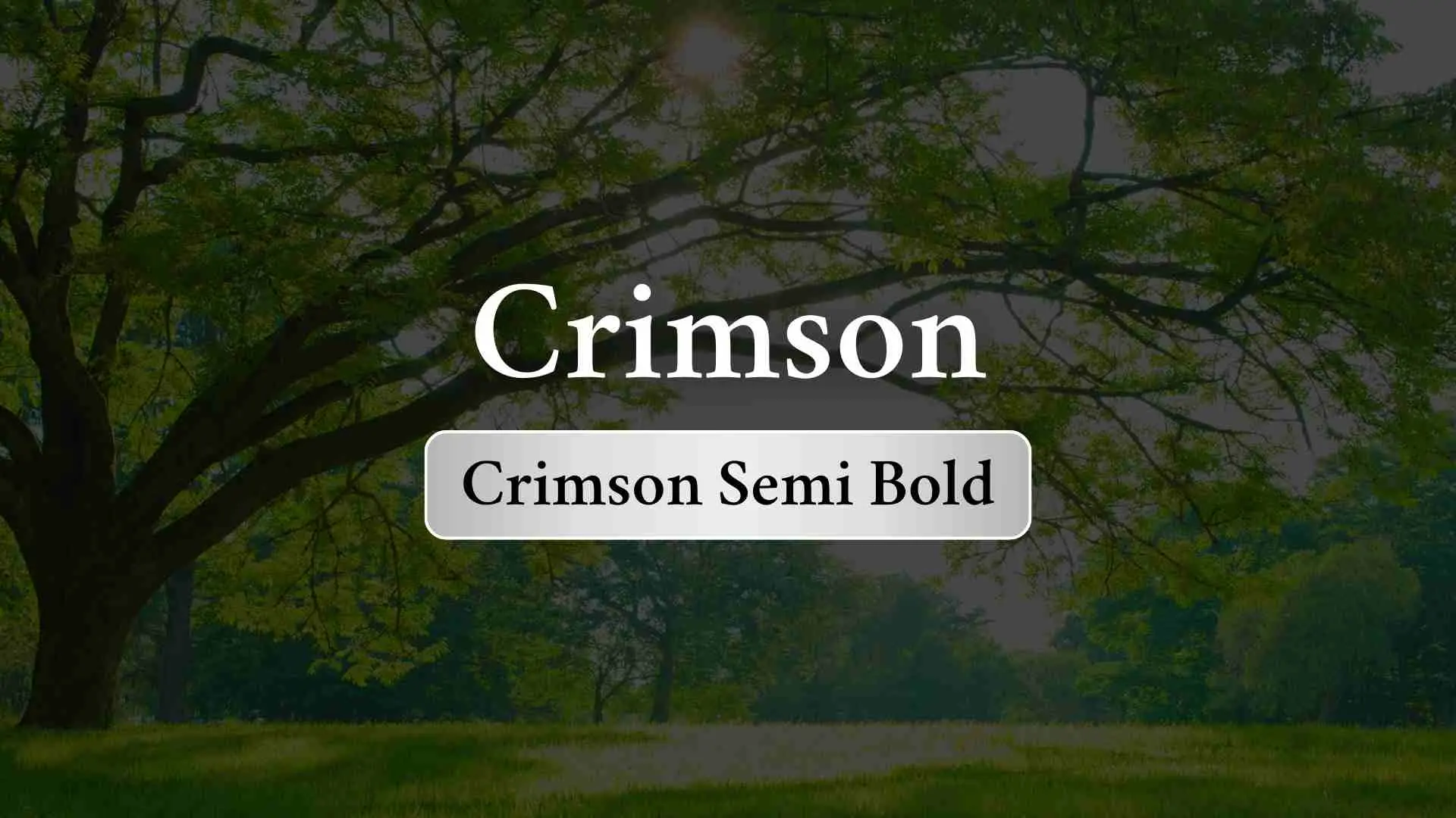 Crimson Semi Bold