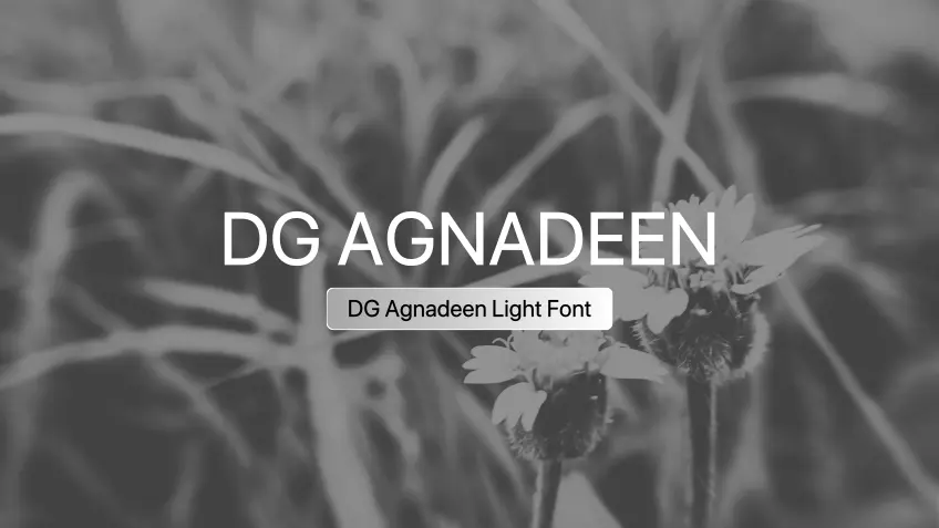 DG Agnadeen Light