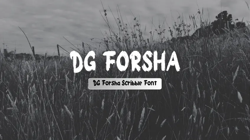DG Forsha Scribble