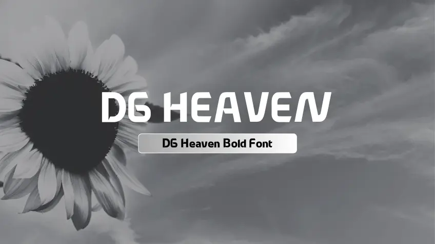 DG Heaven Bold