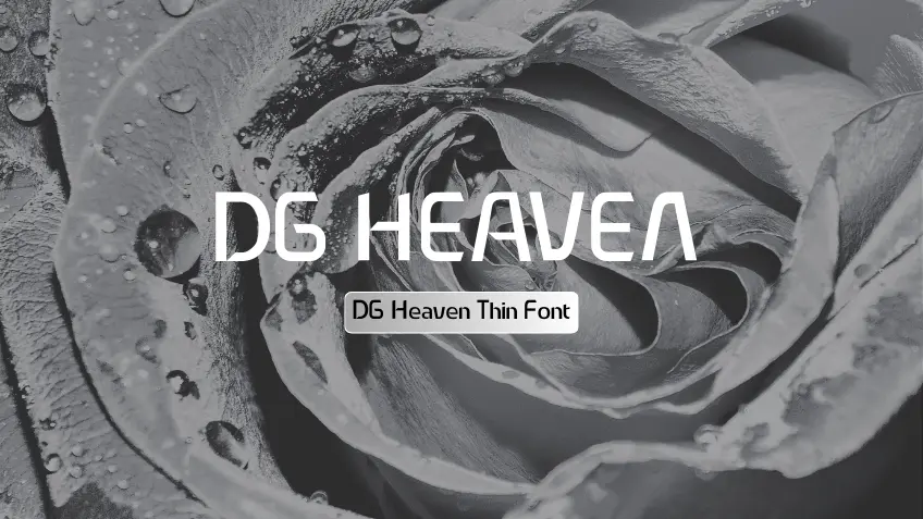 DG Heaven Thin