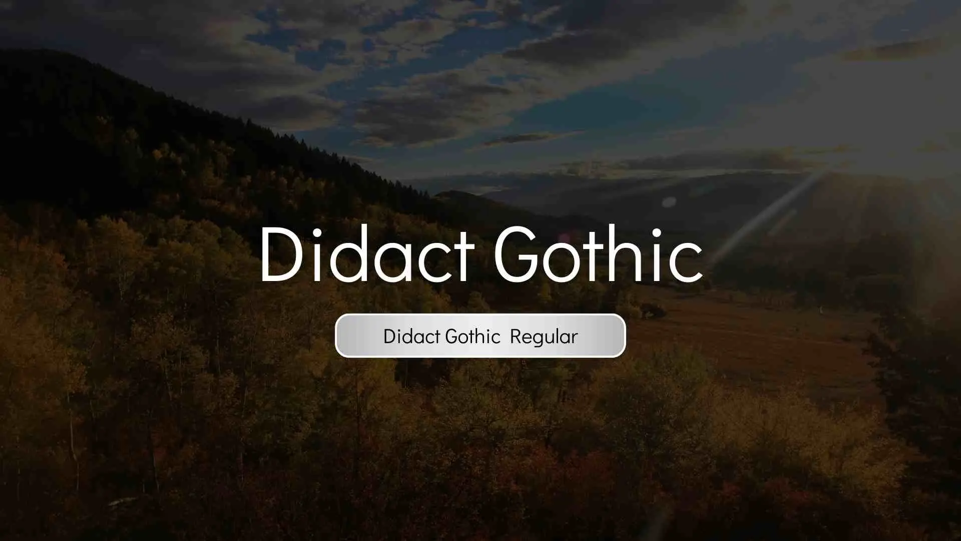 Didact Gothic Regular