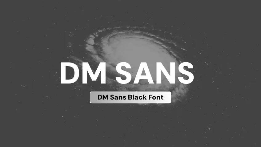 DM Sans Black
