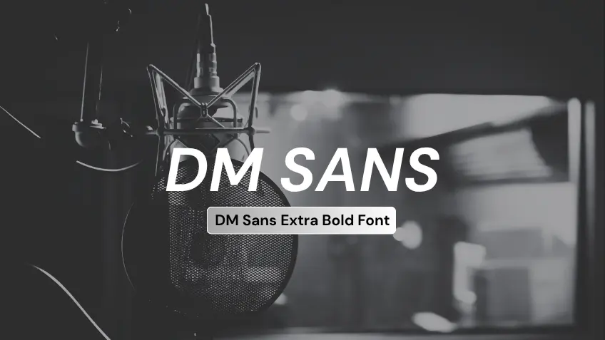 DM Sans Extra Bold