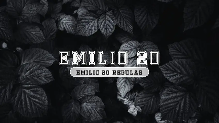 Emilio 20 Regular