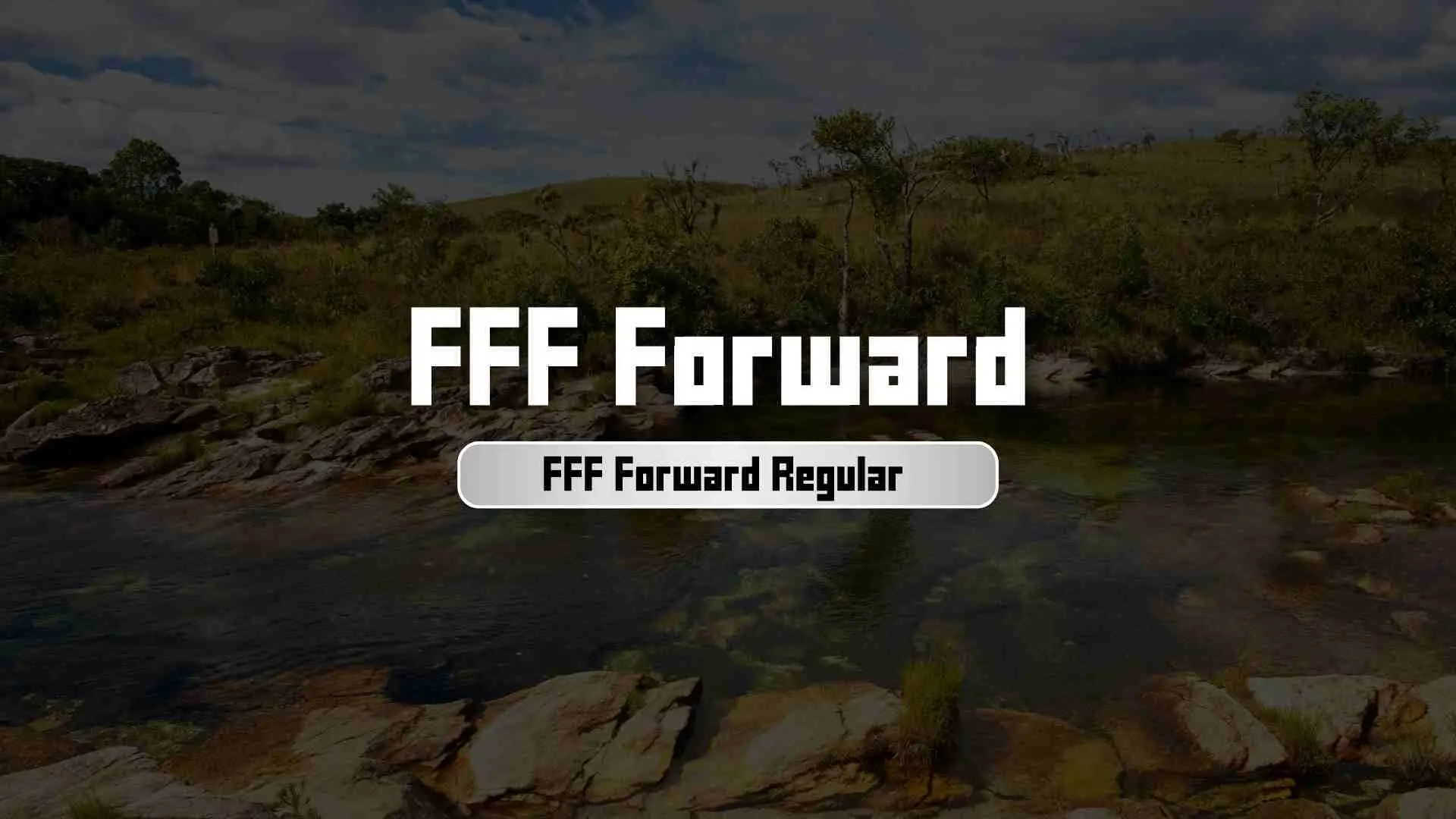 FFF Forward Regular