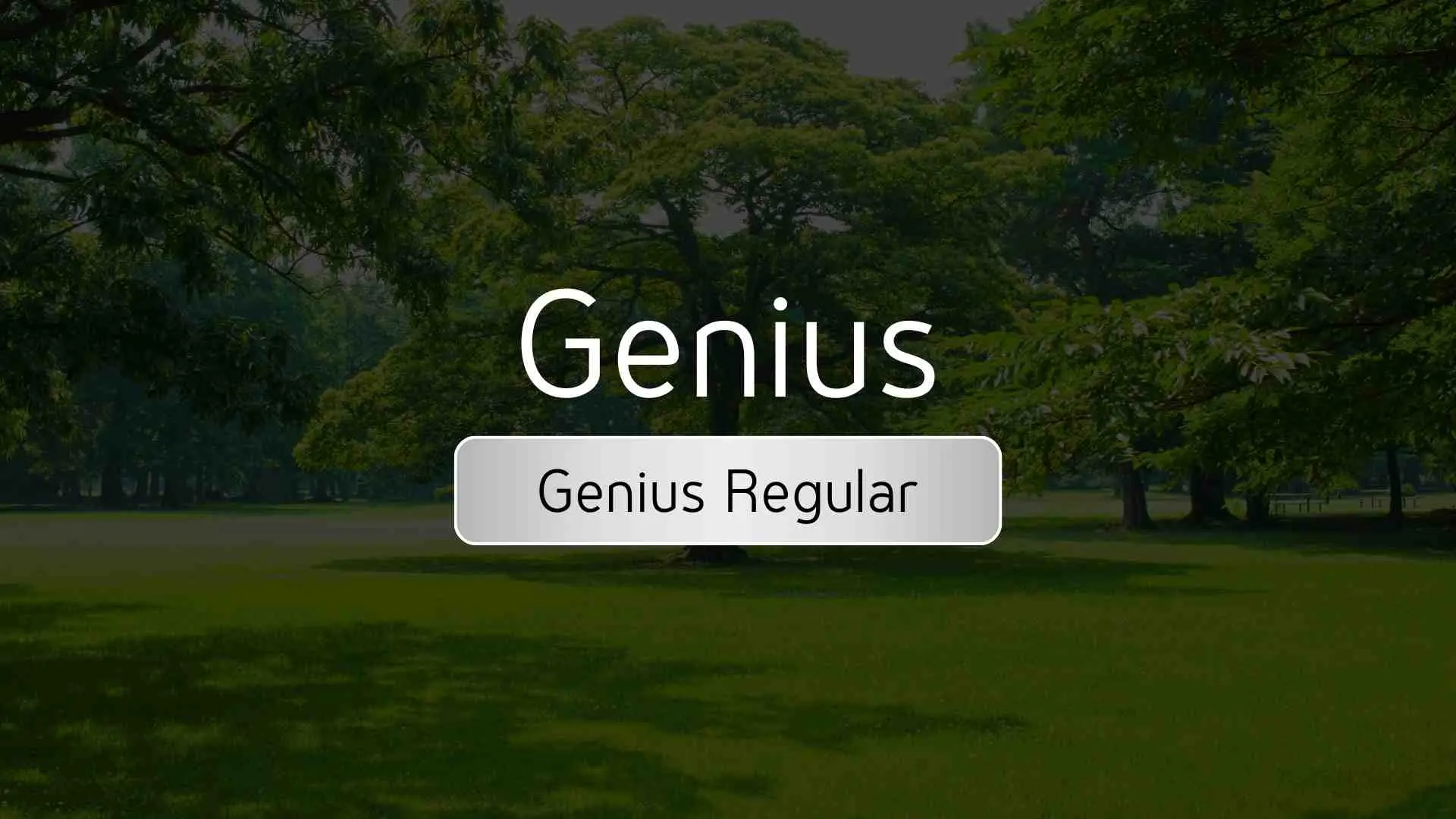 Genius Regular