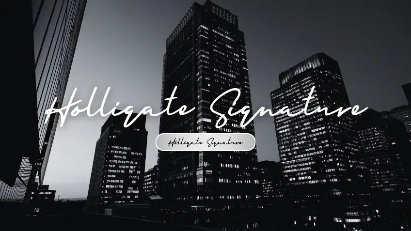 Holligate Signature Demo