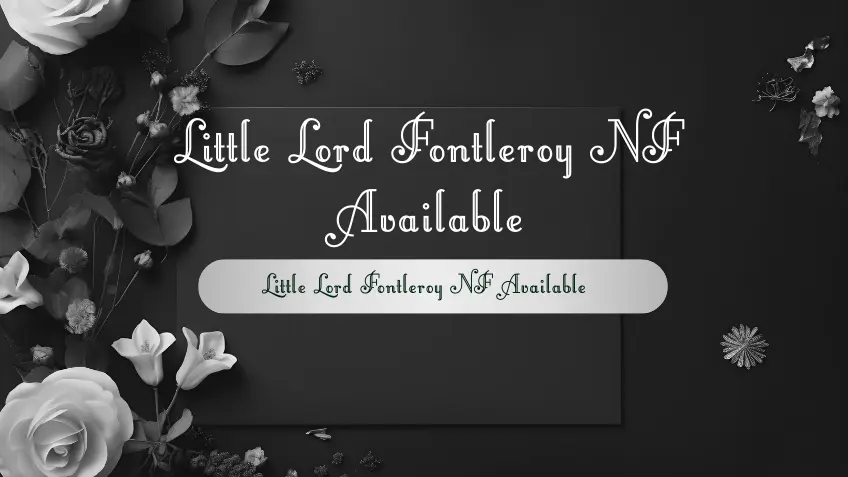 Little Lord Fontleroy NF Regular