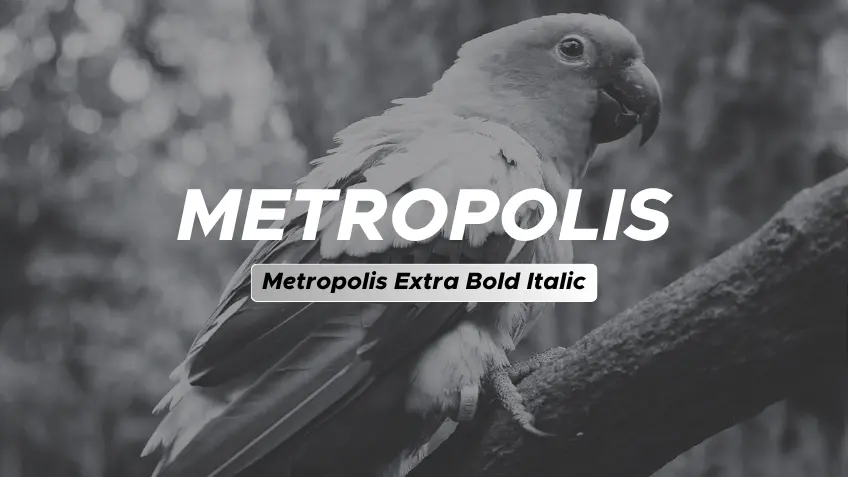 Metropolis Extra Bold Italic