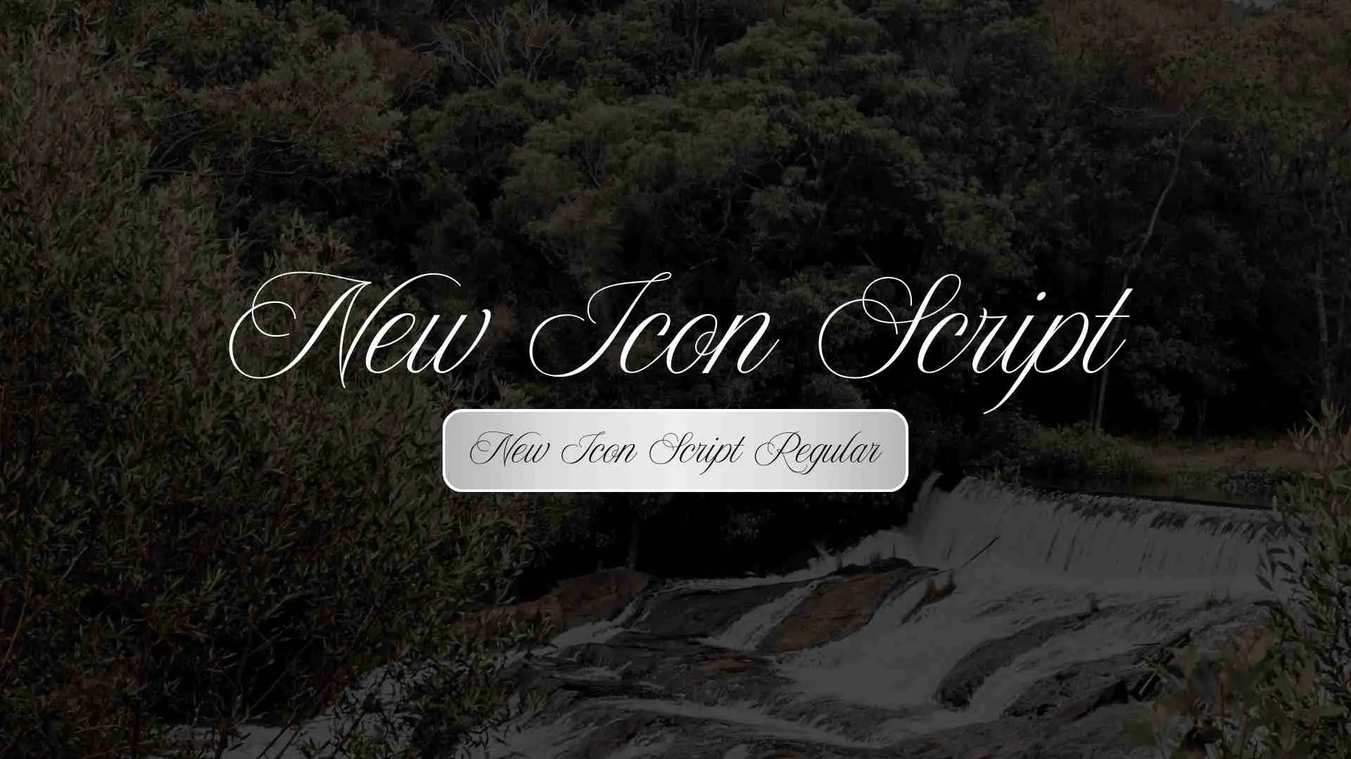 New Icon Script Regular