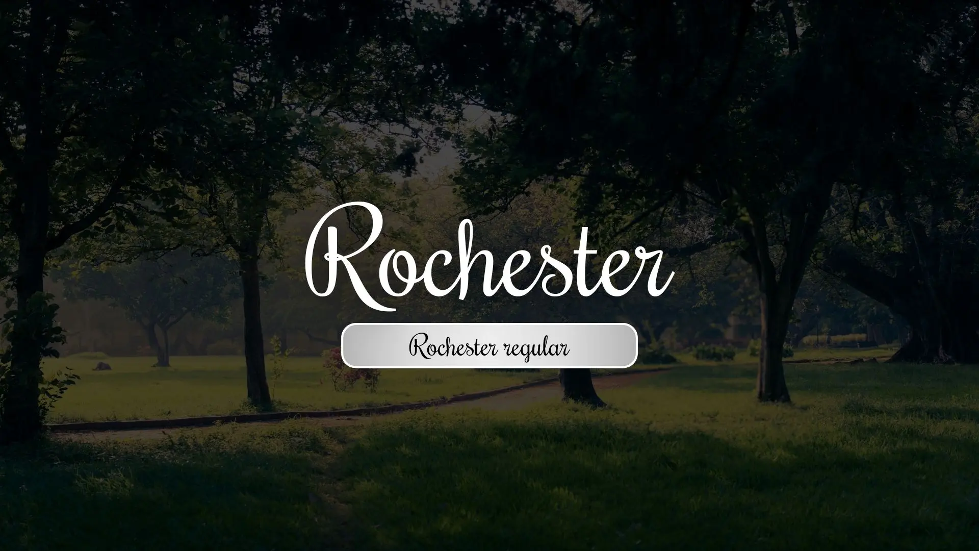 Rochester Regular
