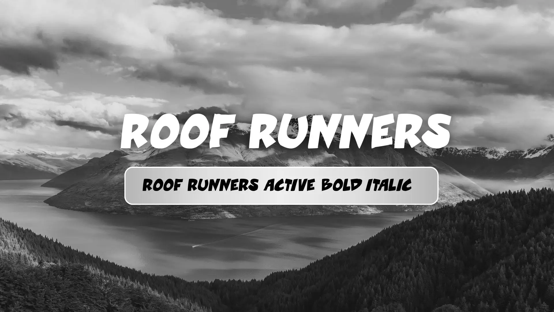 Roof runners active Bold Italic