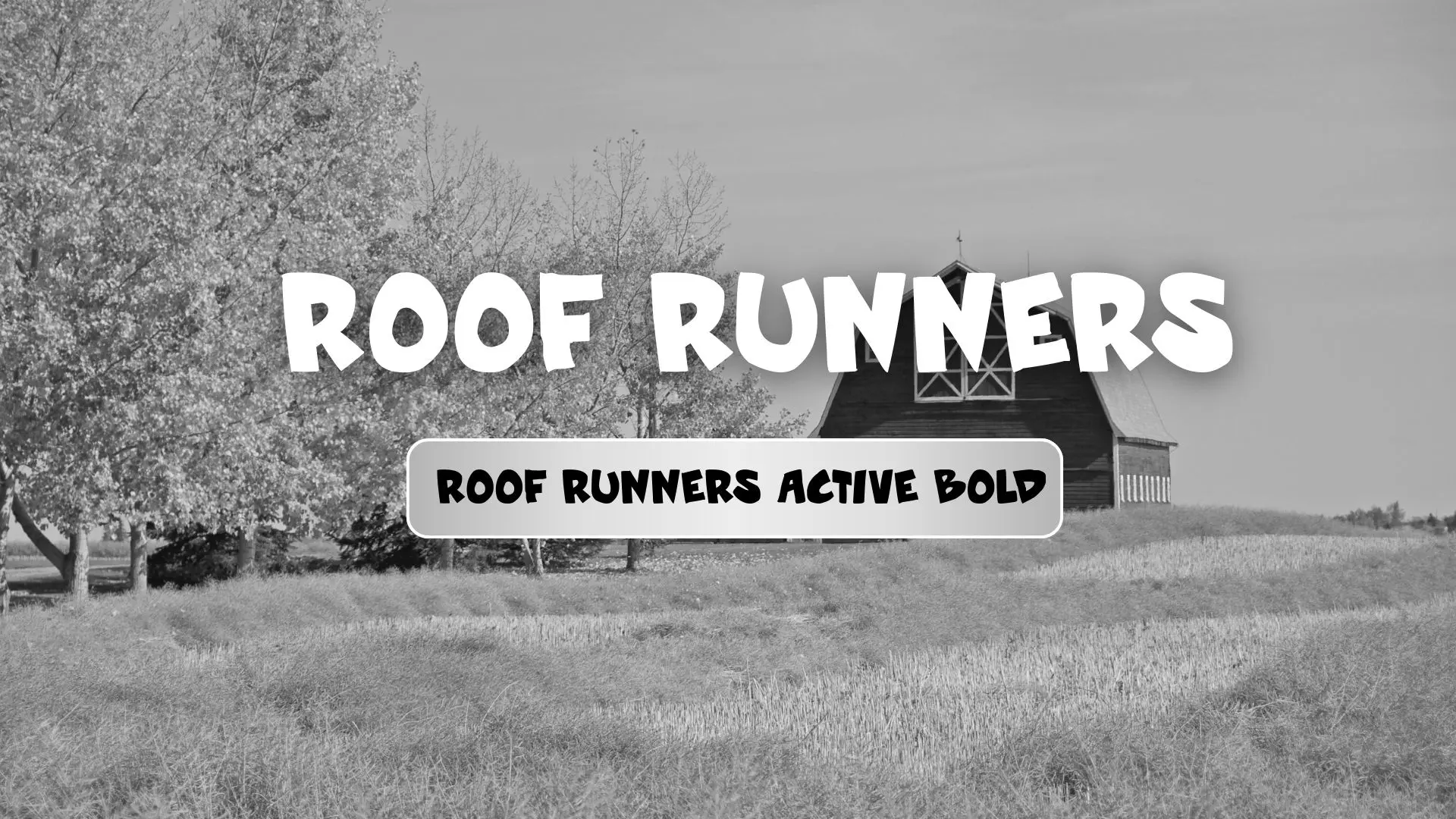 Roof runners active Bold