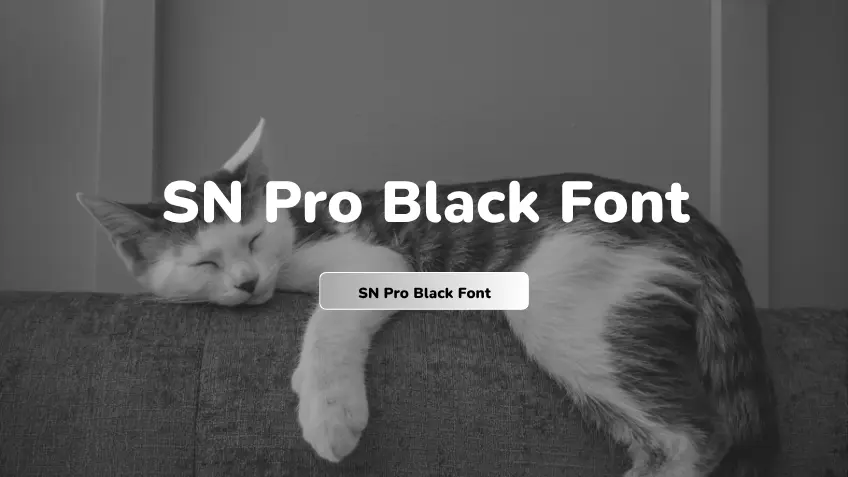 SN Pro Black