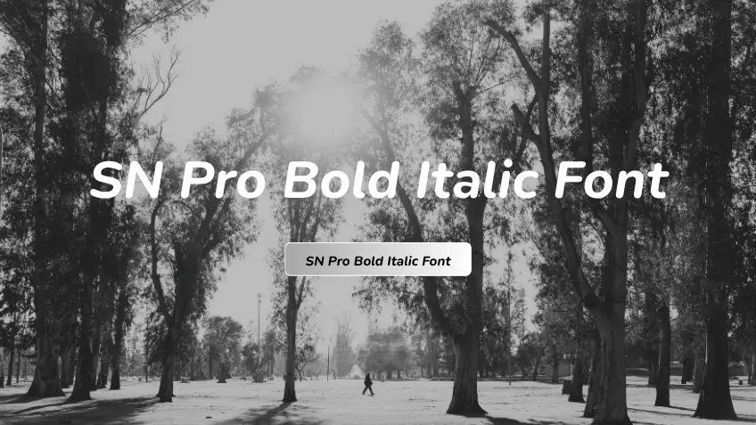 SN Pro Bold Italic