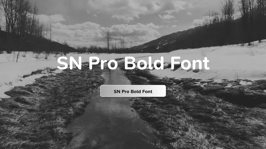 SN Pro Bold