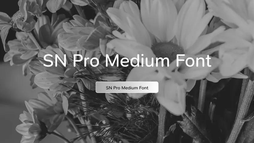 SN Pro Medium