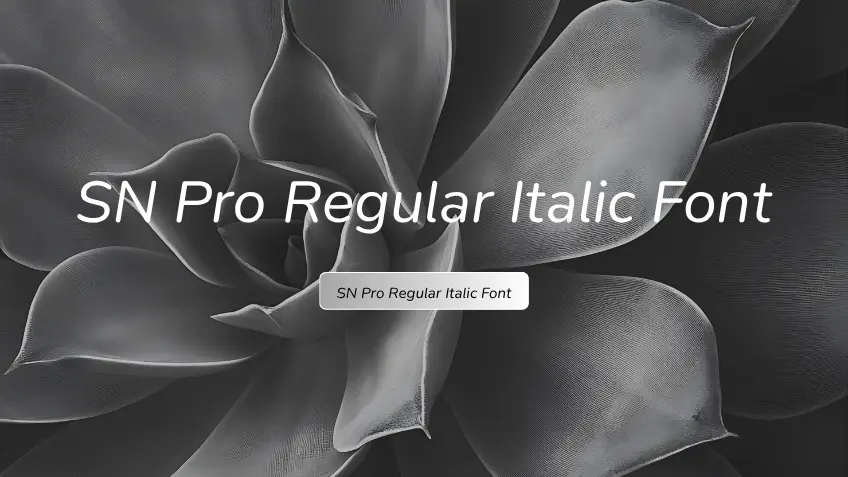 SN Pro Regular Italic