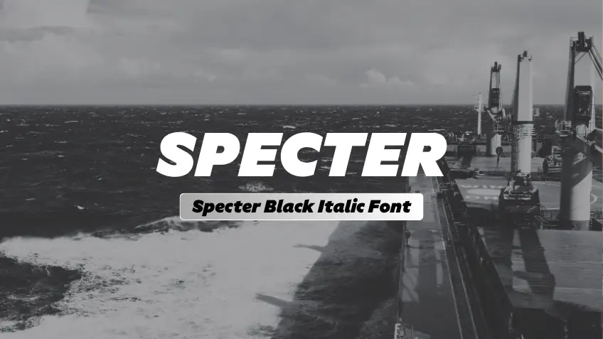 Specter Black Italic