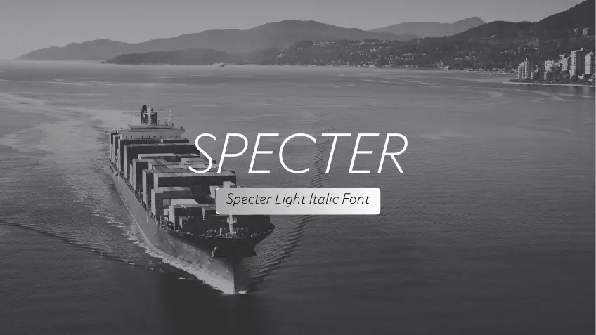 Specter Light Italic