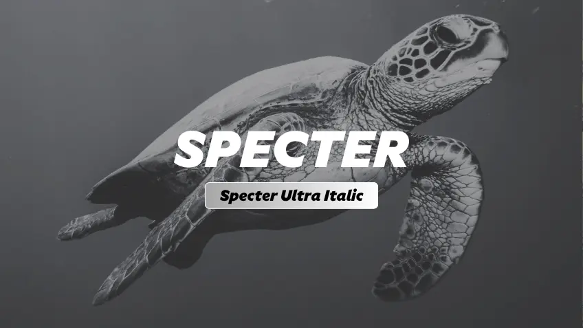 Specter Ultra Italic