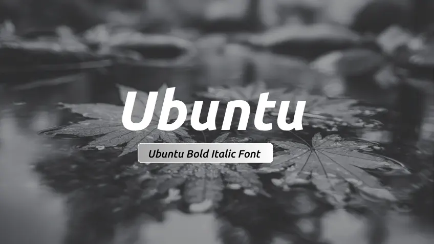 Ubuntu Font Bold Italic