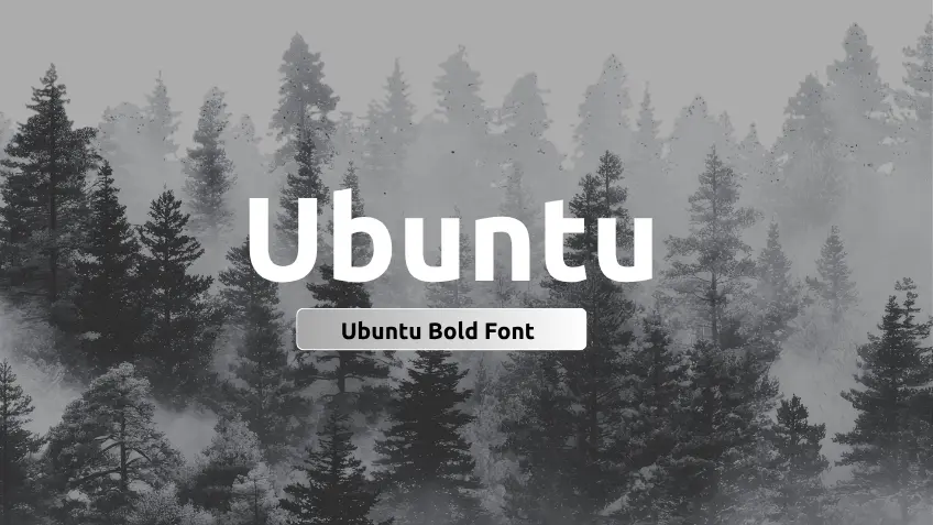 Ubuntu Font Bold