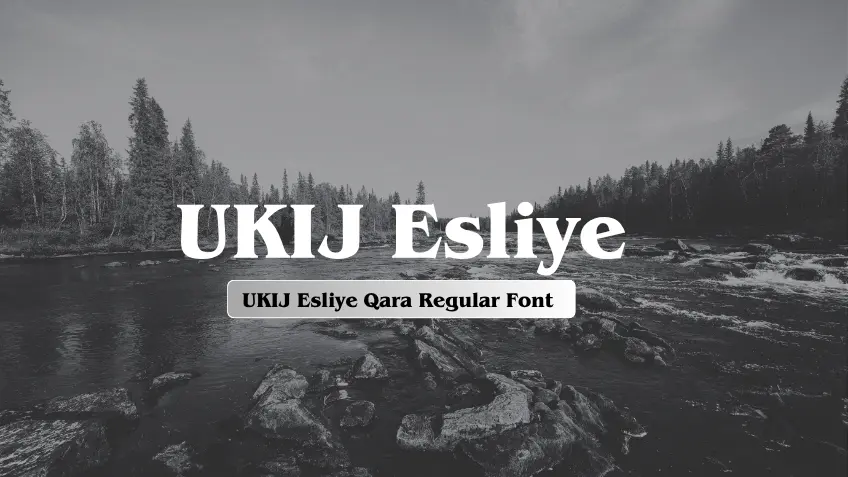 UKIJ Esliye Qara Regular