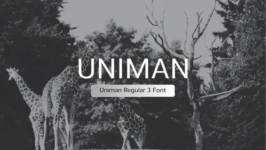 Uniman Regular 3