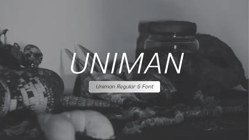 Uniman Regular 6