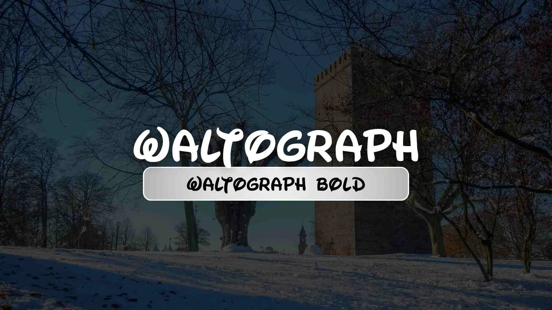 Waltograph Bold