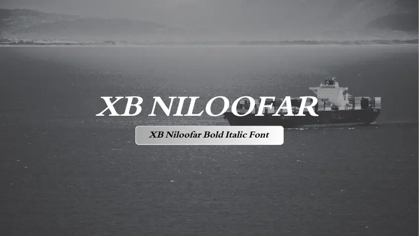XB Niloofar Bold Italic