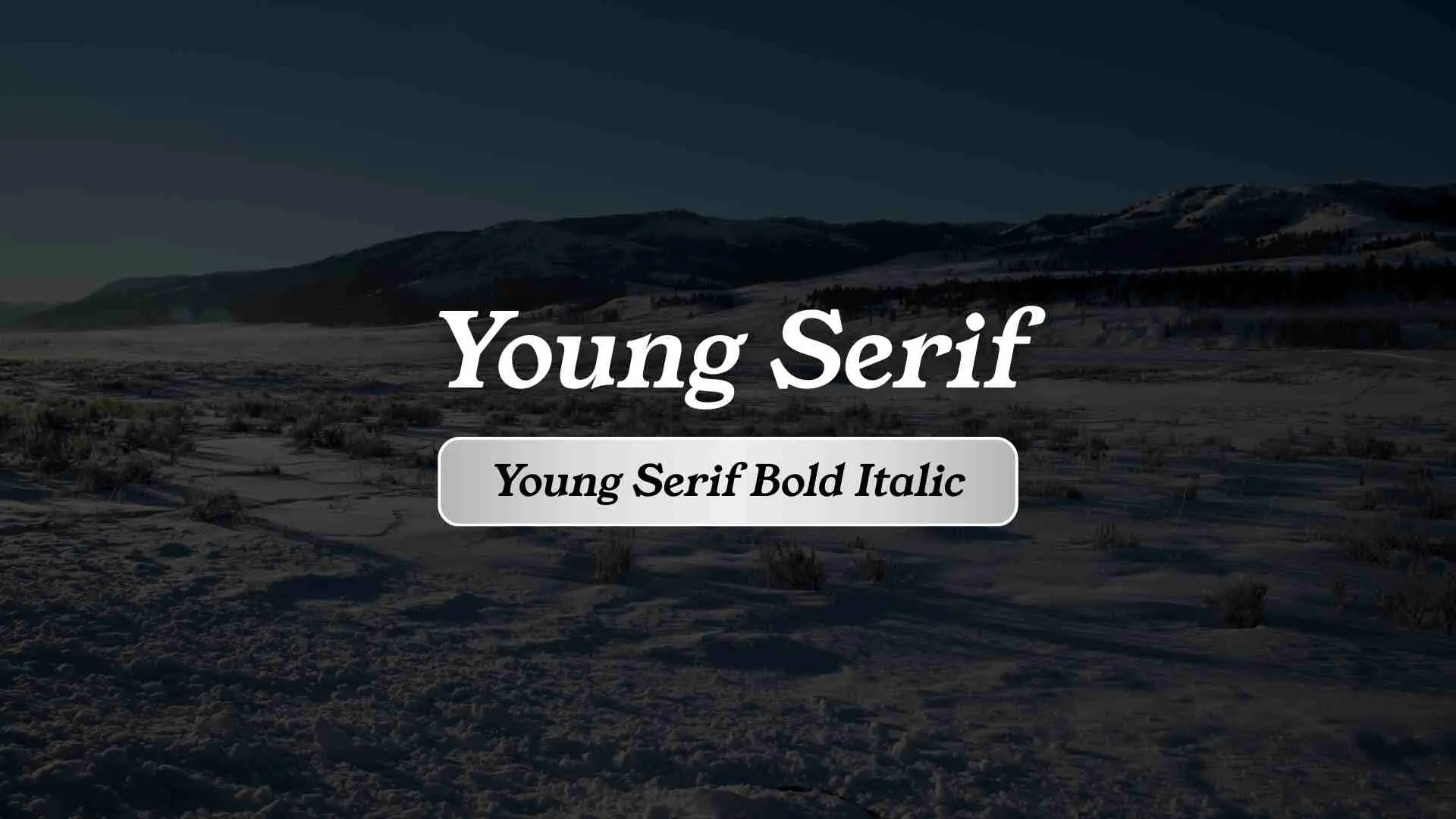 Young Serif Bold Italic
