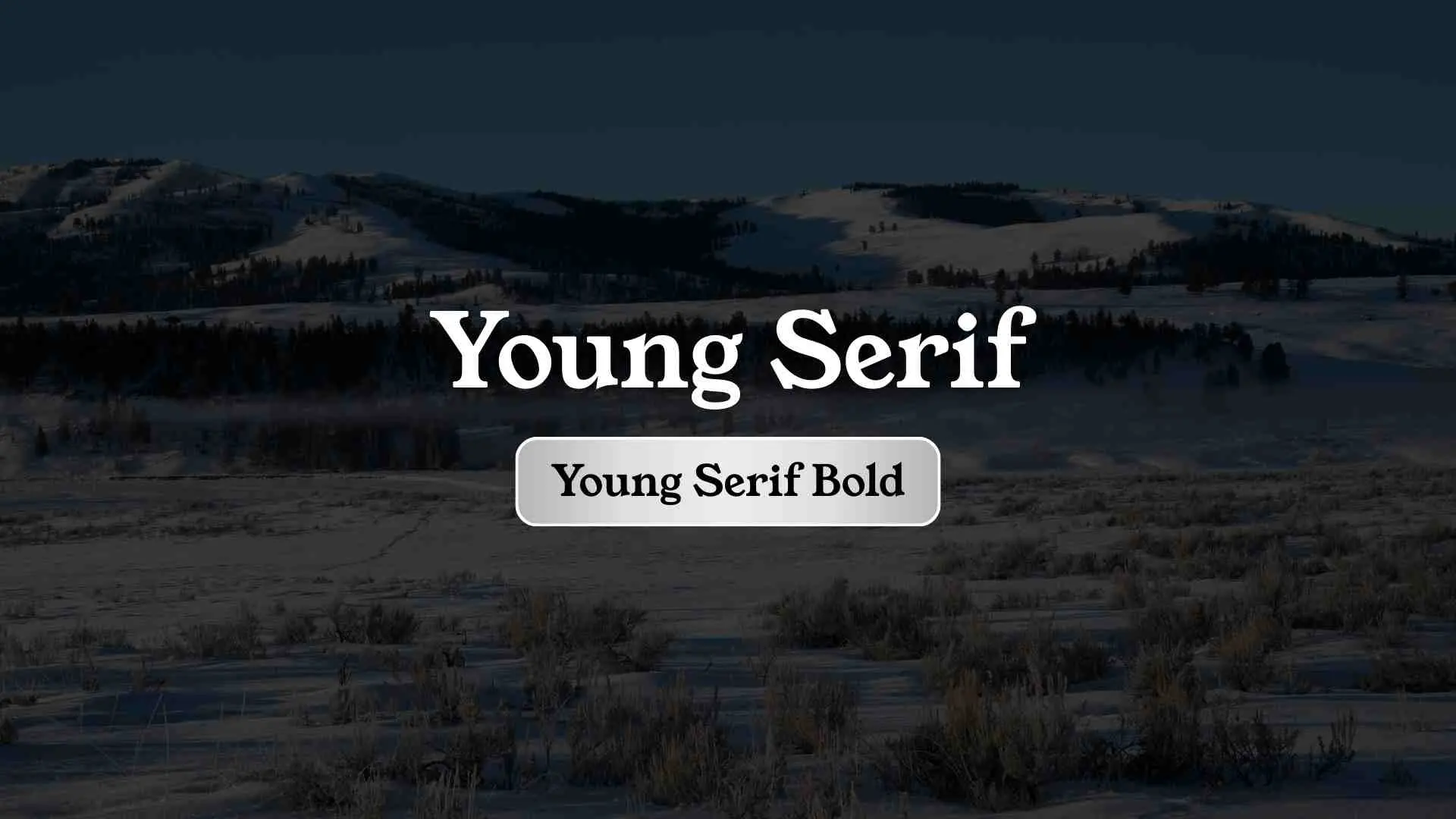Young Serif Bold