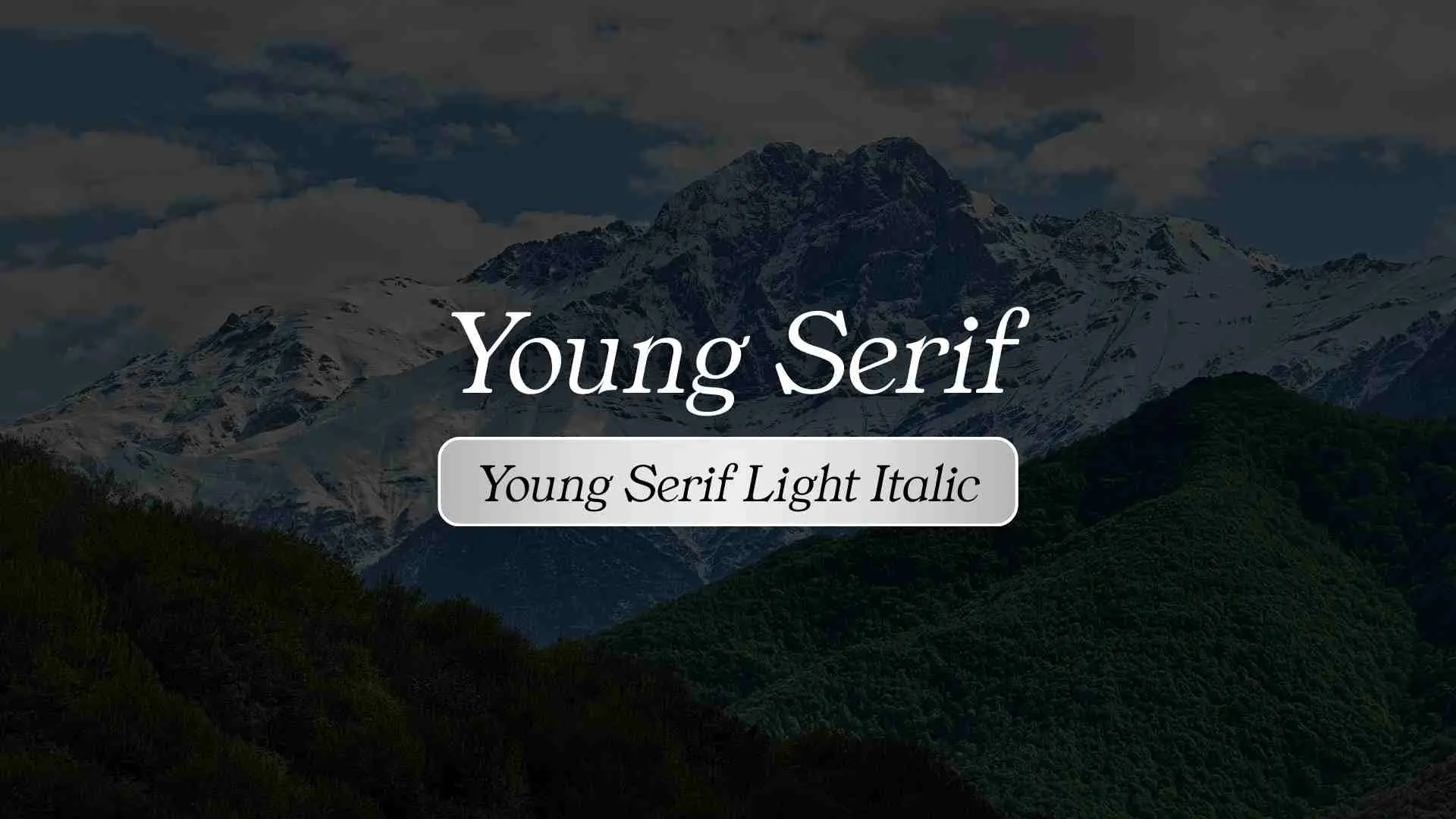 Young Serif Light Italic
