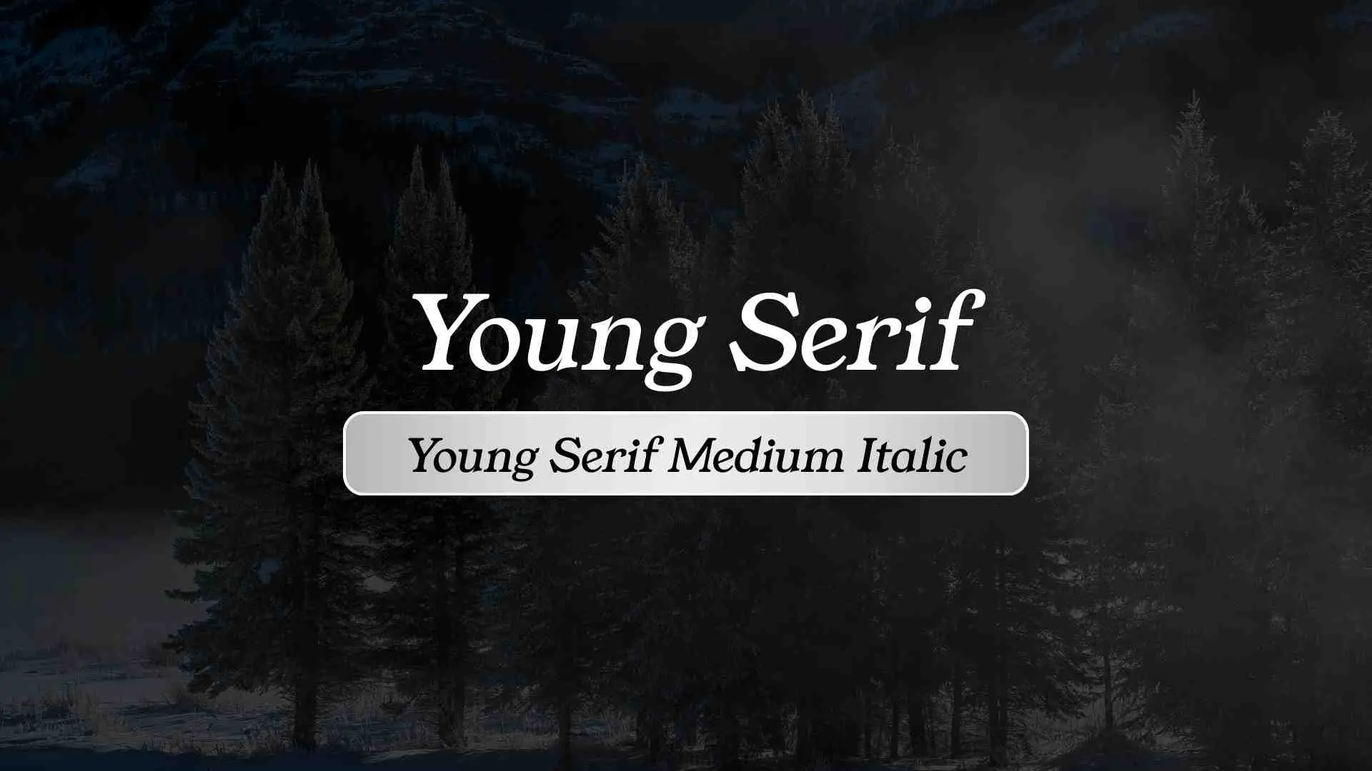 Young Serif Medium Italic
