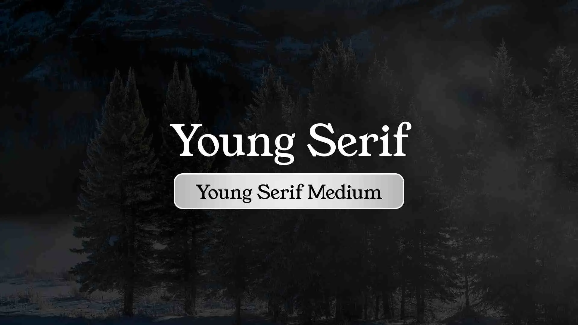 Young Serif Medium