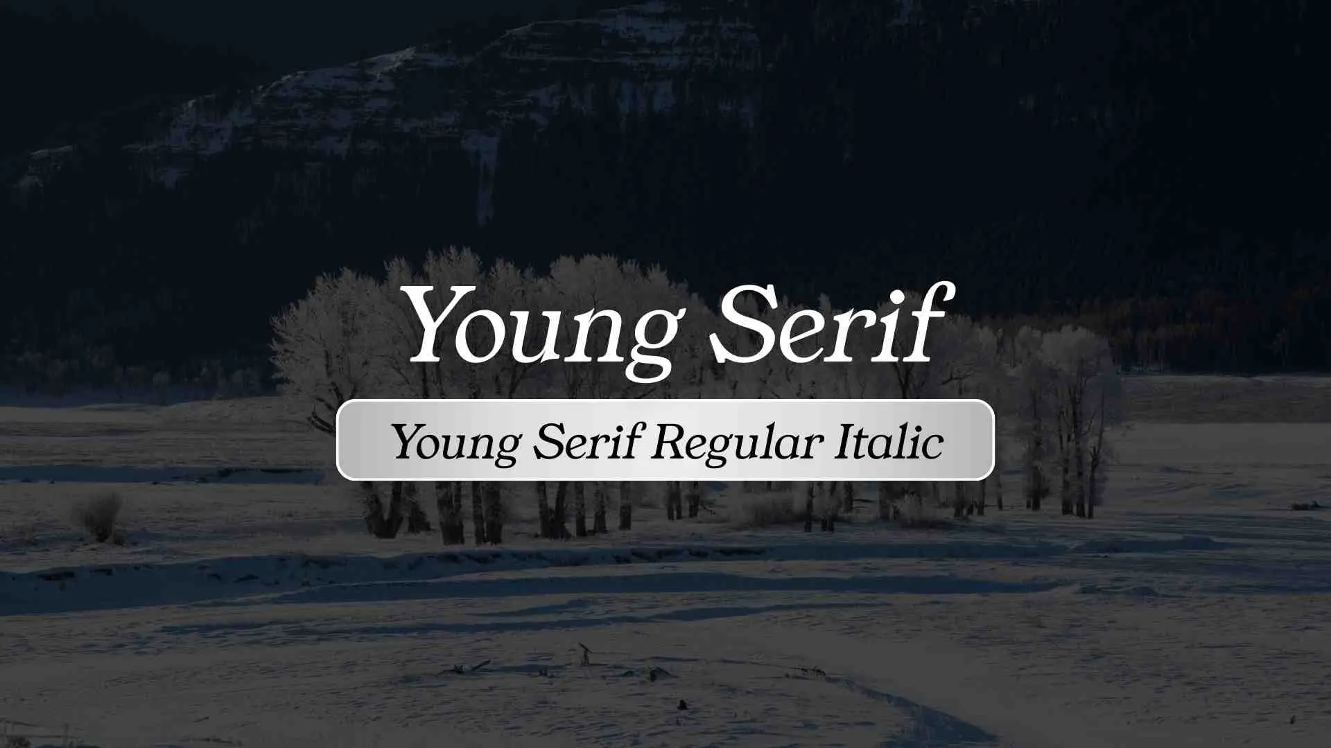 Young Serif Regular Italic